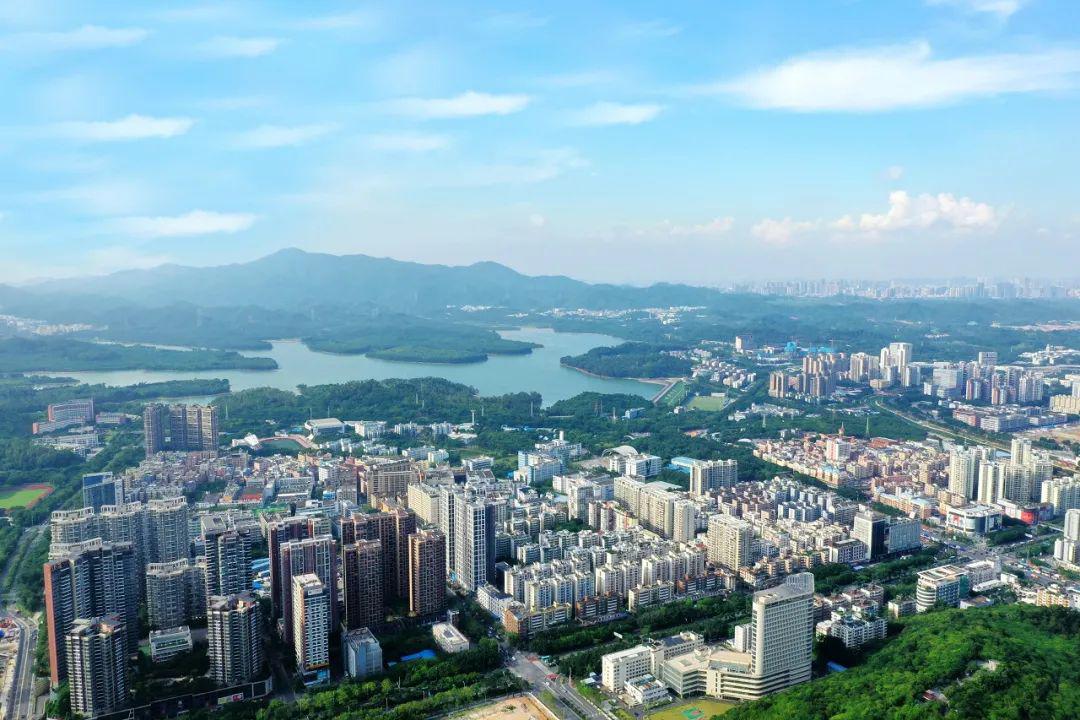 选址定了！香港大学将落户深圳，开展本科和研究生教育