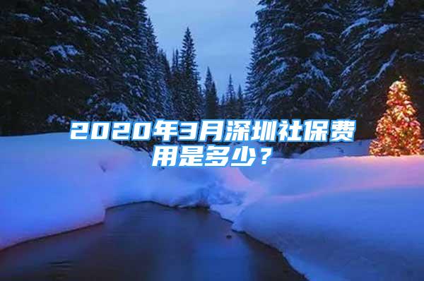 2020年3月深圳社保费用是多少？