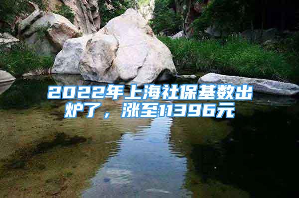 2022年上海社保基数出炉了，涨至11396元