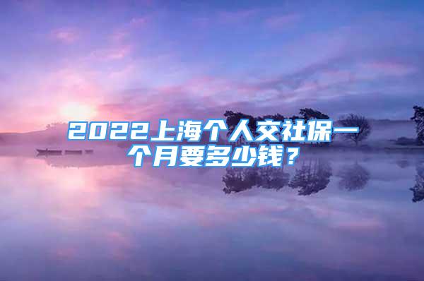 2022上海个人交社保一个月要多少钱？