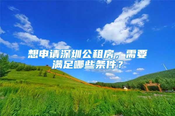 想申请深圳公租房，需要满足哪些条件？