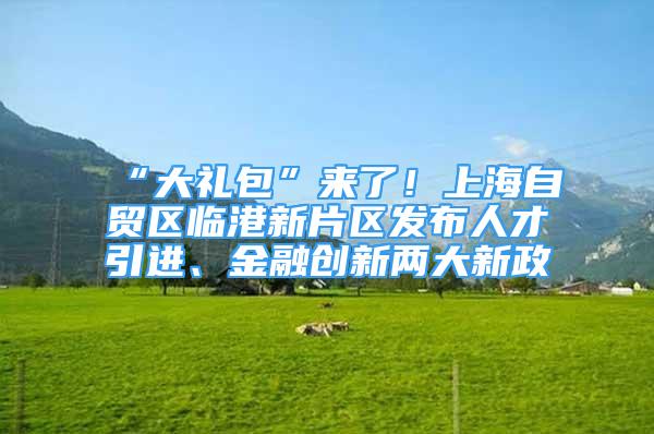 “大礼包”来了！上海自贸区临港新片区发布人才引进、金融创新两大新政