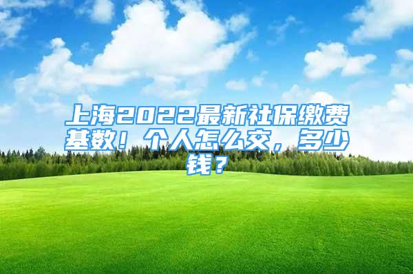 上海2022最新社保缴费基数！个人怎么交，多少钱？