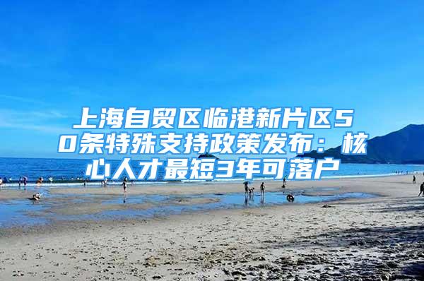 上海自贸区临港新片区50条特殊支持政策发布：核心人才最短3年可落户