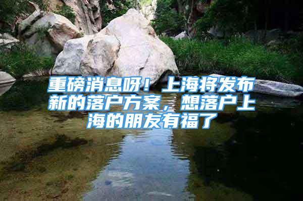 重磅消息呀！上海将发布新的落户方案，想落户上海的朋友有福了
