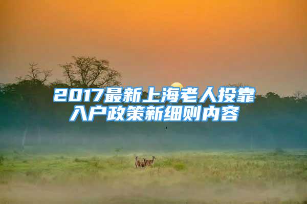 2017最新上海老人投靠入户政策新细则内容