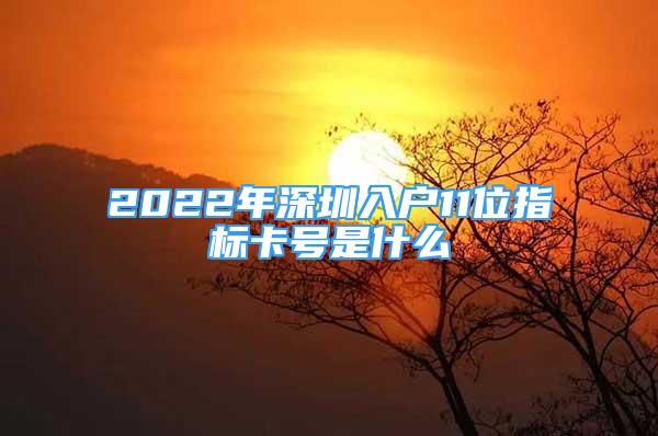 2022年深圳入户11位指标卡号是什么
