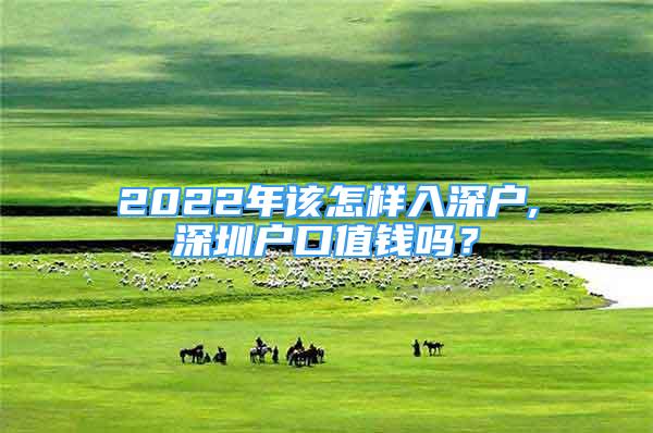2022年该怎样入深户,深圳户口值钱吗？