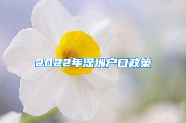 2022年深圳户口政策