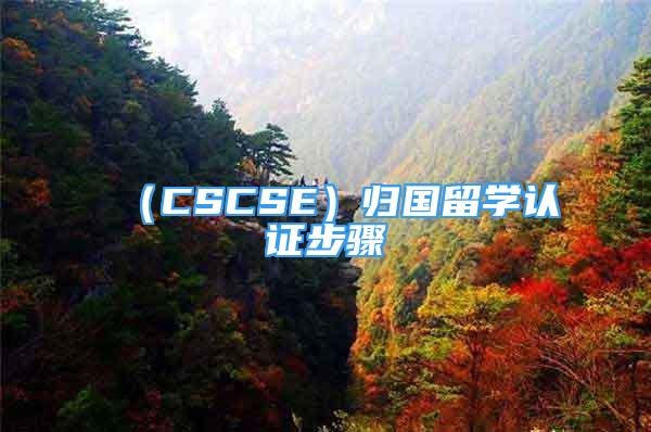 （CSCSE）归国留学认证步骤