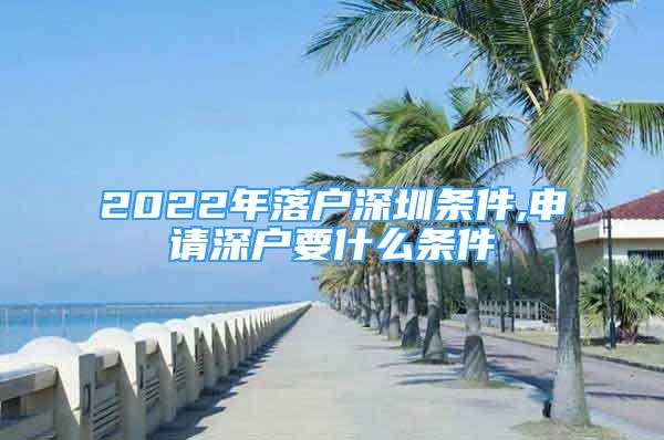 2022年落户深圳条件,申请深户要什么条件