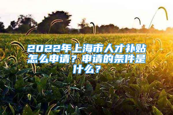2022年上海市人才补贴怎么申请？申请的条件是什么？