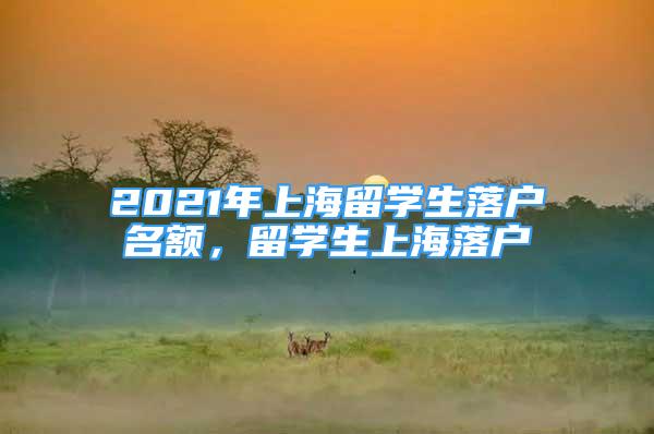 2021年上海留学生落户名额，留学生上海落户