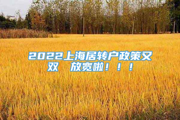 2022上海居转户政策又双叒叕放宽啦！！！