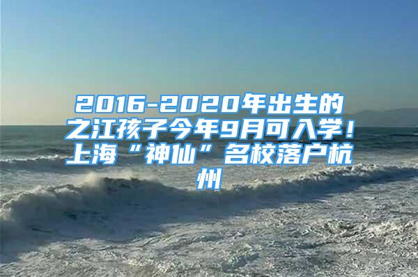 2016-2020年出生的之江孩子今年9月可入学！上海“神仙”名校落户杭州