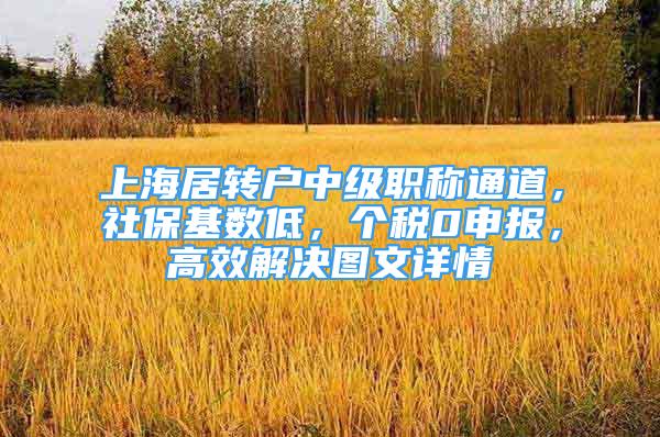 上海居转户中级职称通道，社保基数低，个税0申报，高效解决图文详情