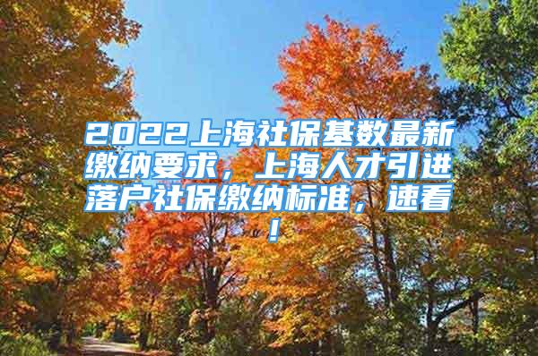 2022上海社保基数最新缴纳要求，上海人才引进落户社保缴纳标准，速看！