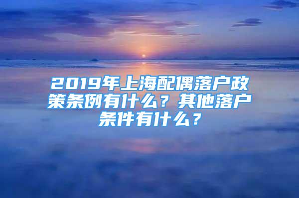 2019年上海配偶落户政策条例有什么？其他落户条件有什么？