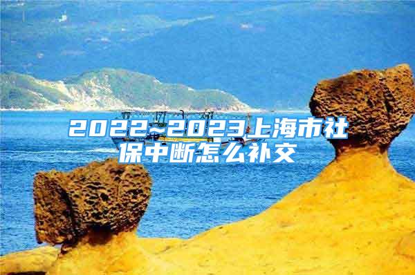2022~2023上海市社保中断怎么补交
