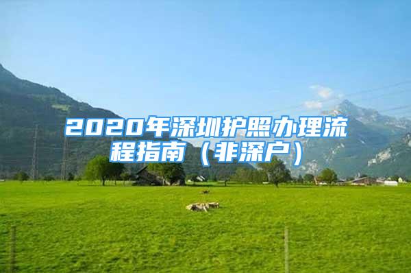 2020年深圳护照办理流程指南（非深户）