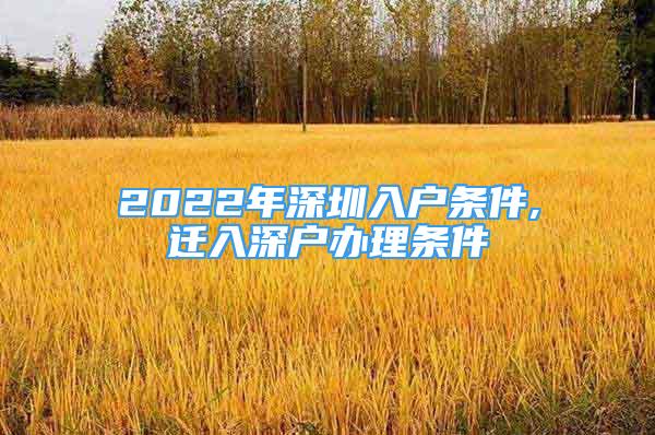 2022年深圳入户条件,迁入深户办理条件