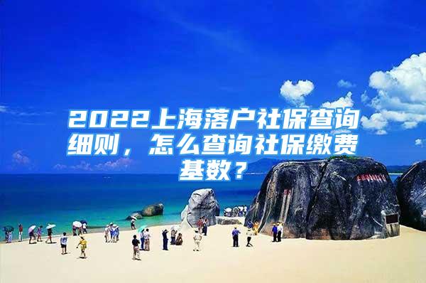 2022上海落户社保查询细则，怎么查询社保缴费基数？