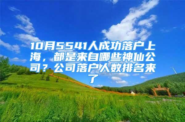10月5541人成功落户上海，都是来自哪些神仙公司？公司落户人数排名来了