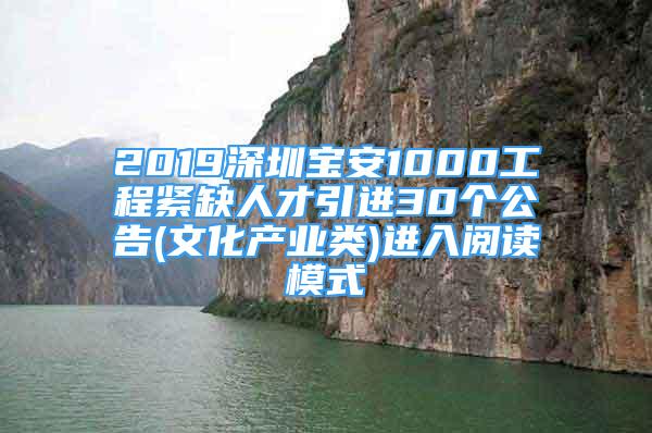 2019深圳宝安1000工程紧缺人才引进30个公告(文化产业类)进入阅读模式