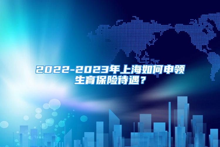 2022-2023年上海如何申领生育保险待遇？