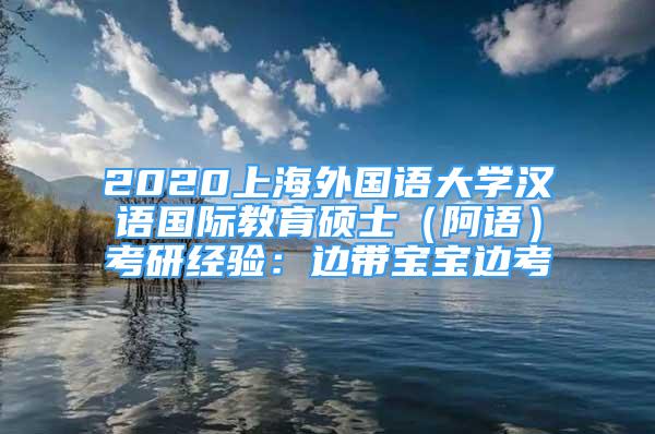 2020上海外国语大学汉语国际教育硕士（阿语）考研经验：边带宝宝边考