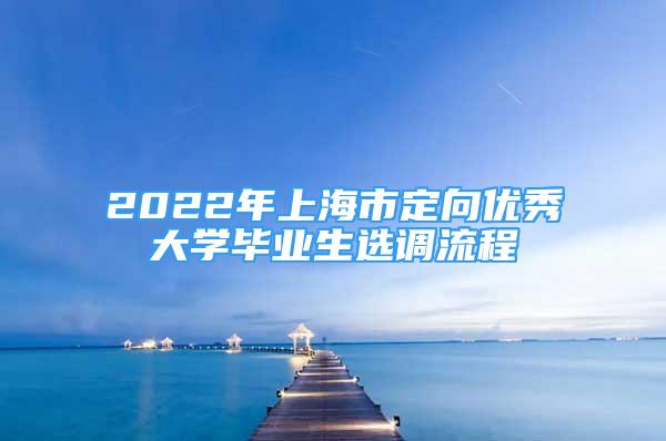 2022年上海市定向优秀大学毕业生选调流程