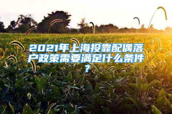 2021年上海投靠配偶落户政策需要满足什么条件？