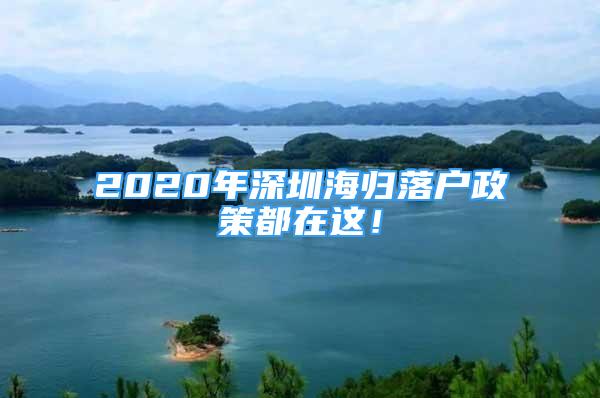 2020年深圳海归落户政策都在这！