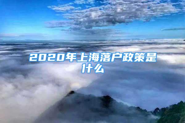 2020年上海落户政策是什么
