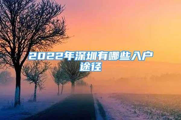 2022年深圳有哪些入户途径
