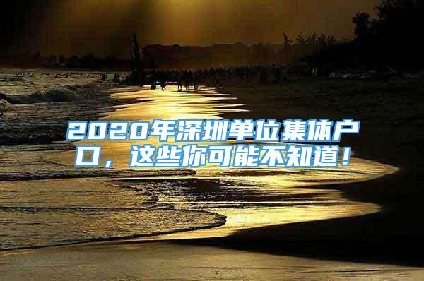 2020年深圳单位集体户口，这些你可能不知道！