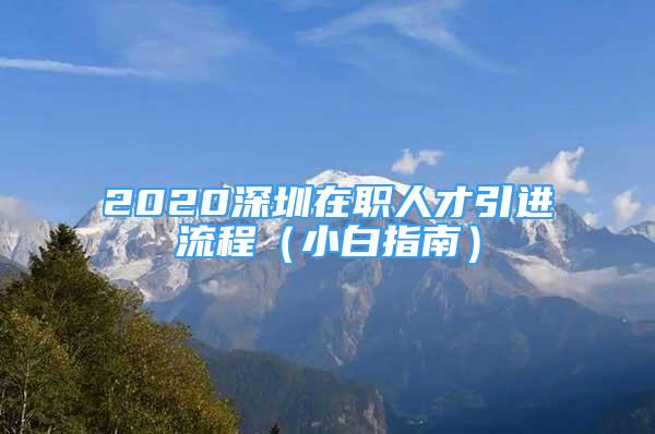 2020深圳在职人才引进流程（小白指南）