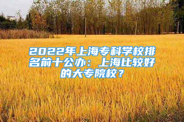 2022年上海专科学校排名前十公办：上海比较好的大专院校？
