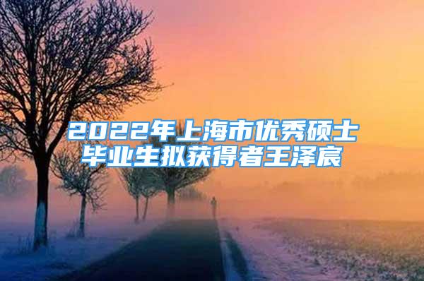 2022年上海市优秀硕士毕业生拟获得者王泽宸