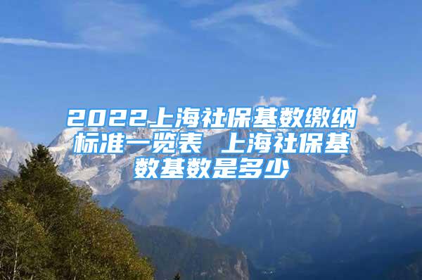 2022上海社保基数缴纳标准一览表 上海社保基数基数是多少