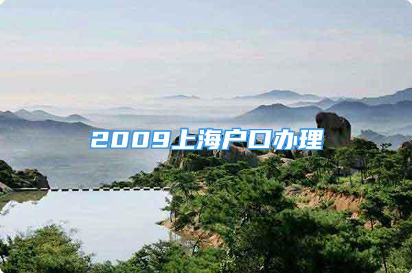 2009上海户口办理