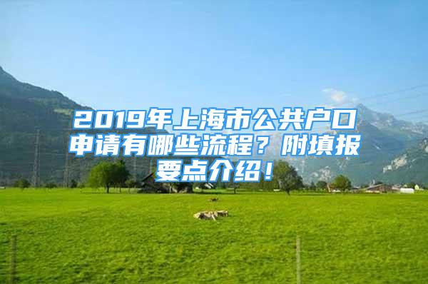 2019年上海市公共户口申请有哪些流程？附填报要点介绍！