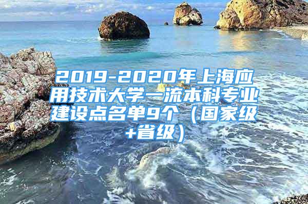 2019-2020年上海应用技术大学一流本科专业建设点名单9个（国家级+省级）