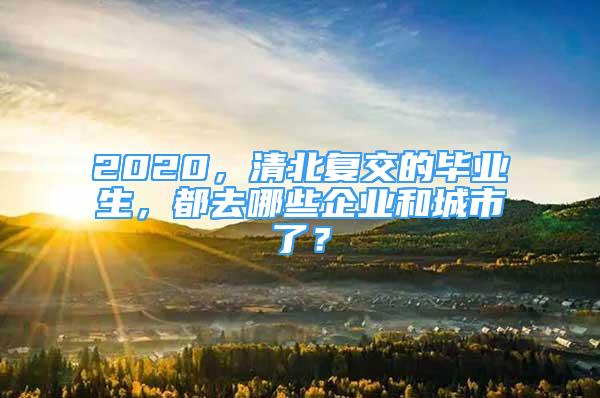 2020，清北复交的毕业生，都去哪些企业和城市了？