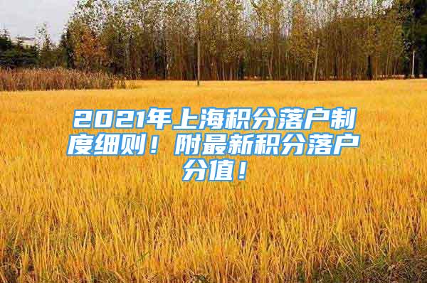 2021年上海积分落户制度细则！附最新积分落户分值！