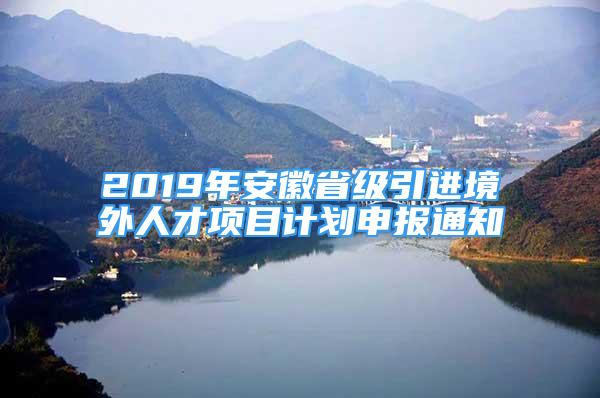2019年安徽省级引进境外人才项目计划申报通知