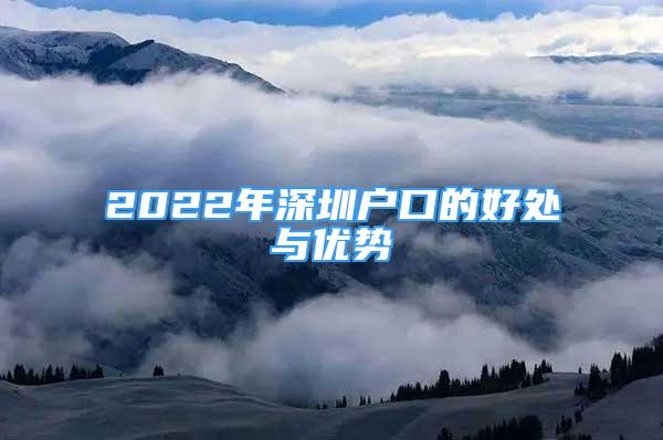 2022年深圳户口的好处与优势