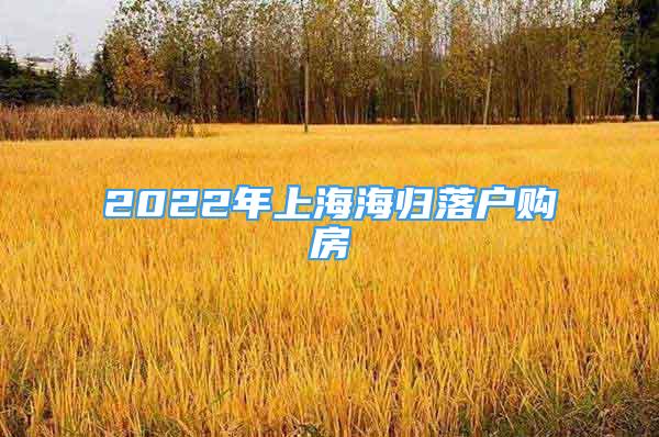2022年上海海归落户购房