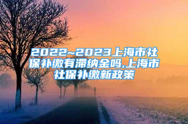 2022~2023上海市社保补缴有滞纳金吗,上海市社保补缴新政策