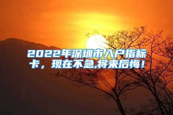 2022年深圳市入户指标卡，现在不急,将来后悔！